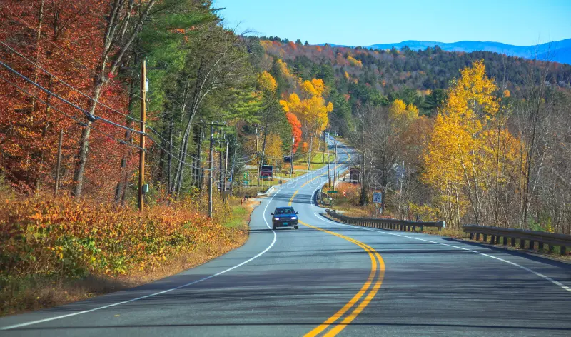 Leisure & Scenic Trips