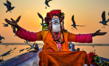 Paquete Kashi Vishwanath Darshan